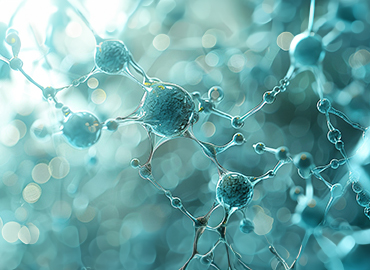 N&uuml;kleoplasti ve Menopozda Biyoeşdeğer Hormon Tedavisi: Modern Tıbbın Konforlu &Ccedil;&ouml;z&uuml;mleri